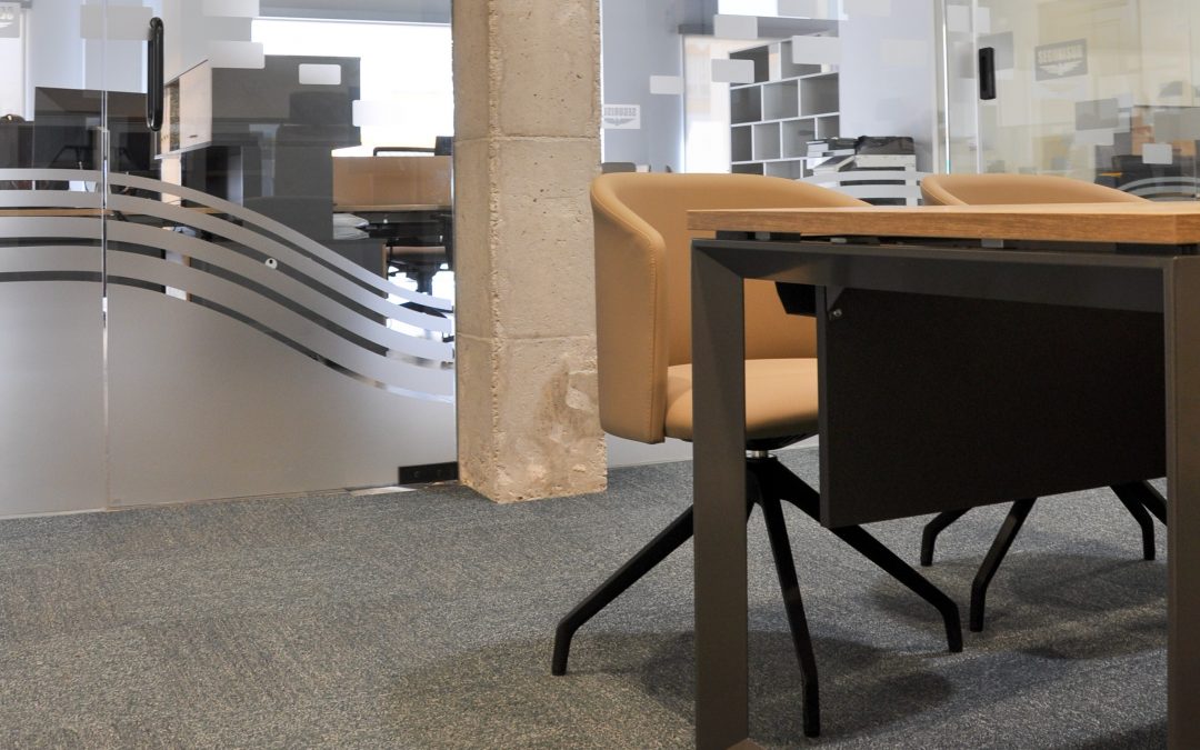 Oficinas Segurisur