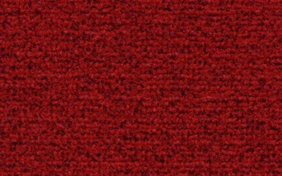 Coral – Lote 117